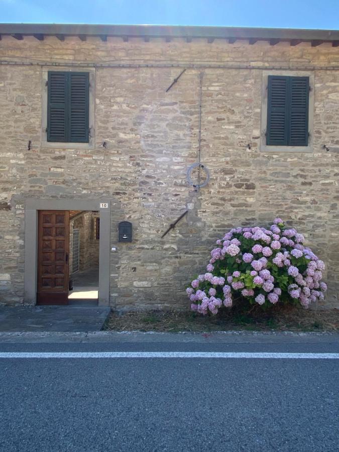 Torre Cavina Villa Palazzuolo Sul Senio Luaran gambar